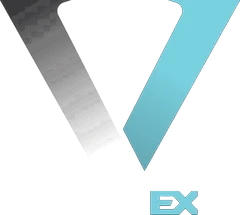 VinnoEx logo